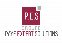 Logo Paye Expert Solution